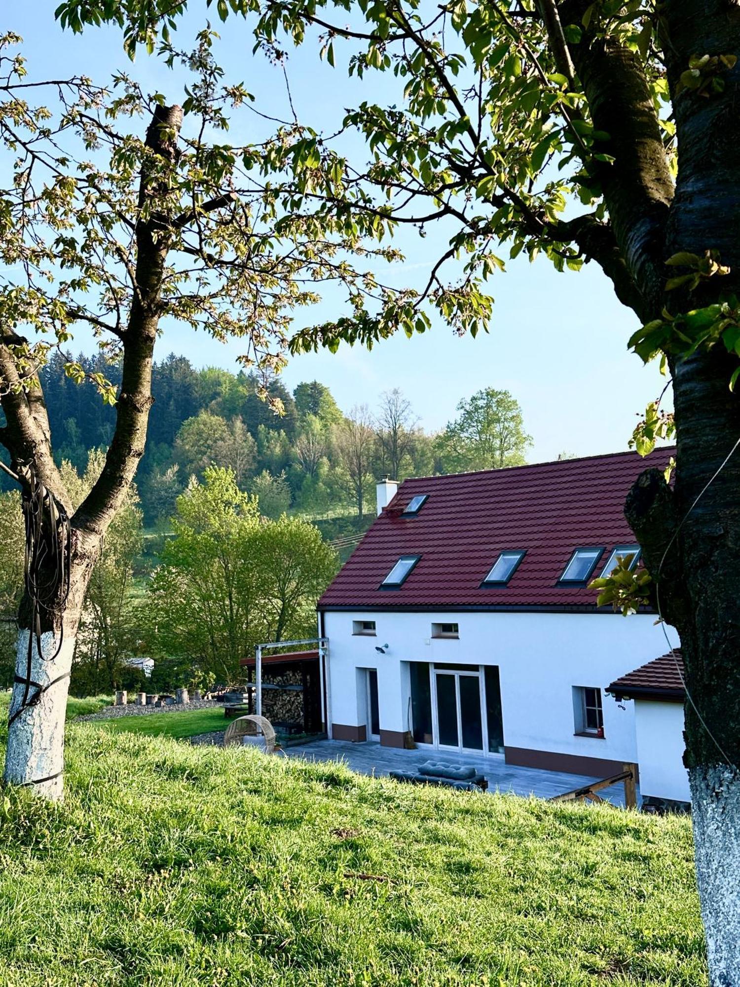 Villa Zapomnienie Nowa Ruda Esterno foto