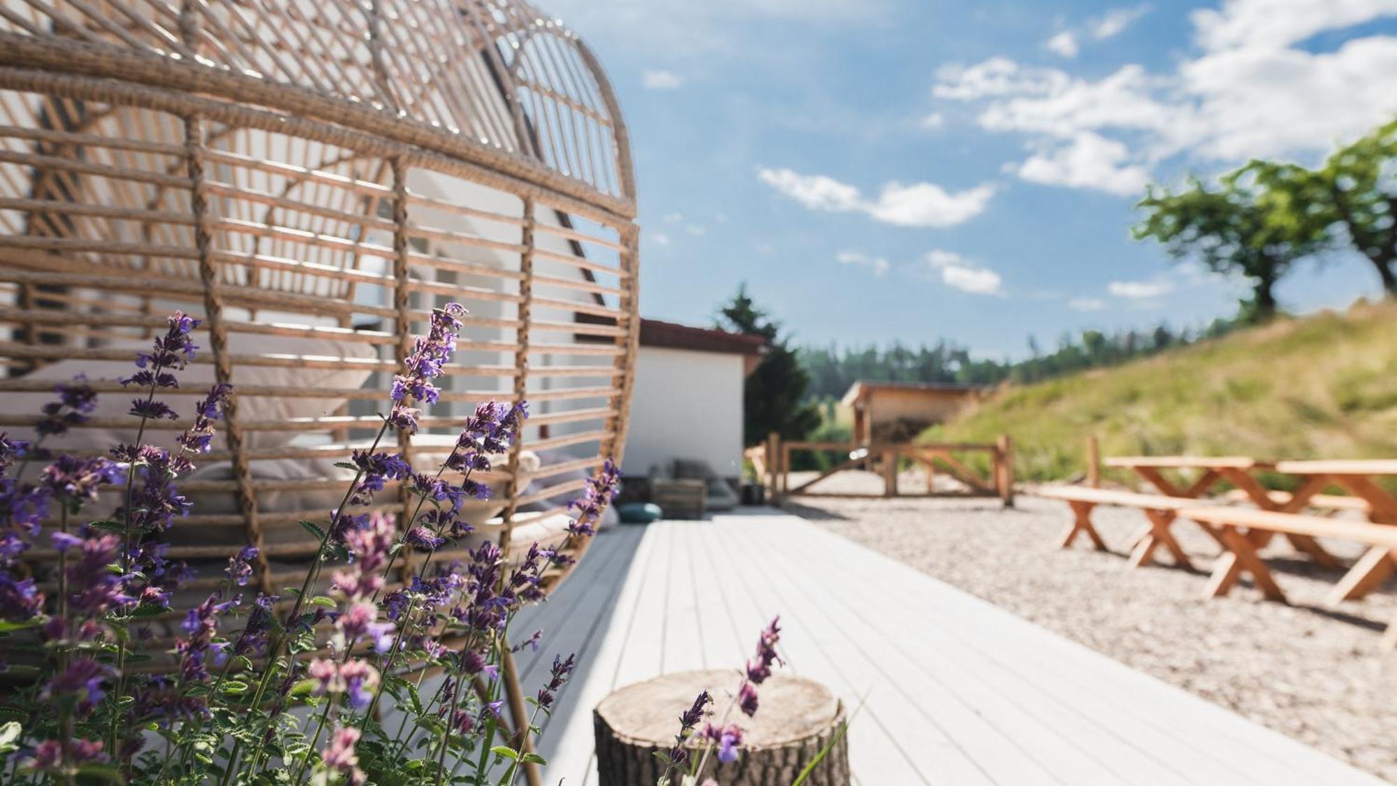 Villa Zapomnienie Nowa Ruda Esterno foto